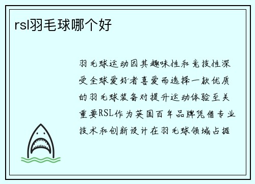 rsl羽毛球哪个好
