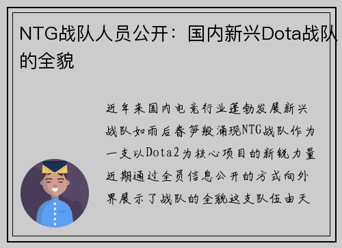 NTG战队人员公开：国内新兴Dota战队的全貌